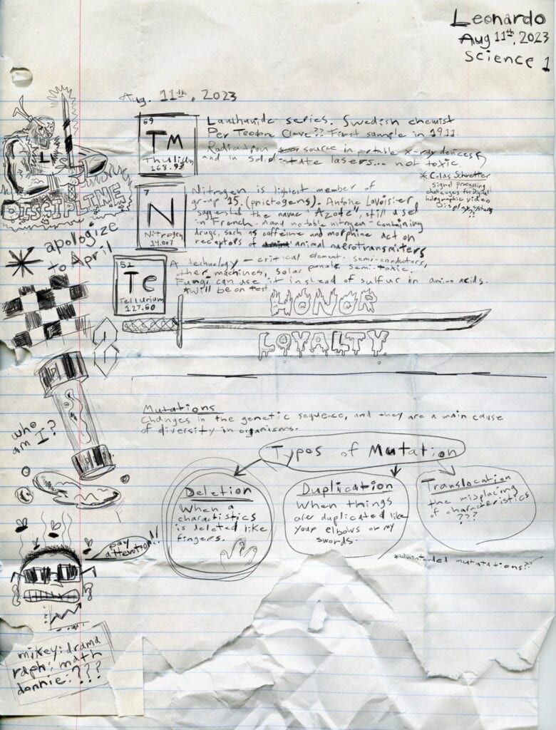 Seth Rogen's Leo Notes - TMNT