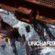 Uncharted 2: Among Thieves Reaches For More Than Stars!