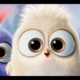 The Angry Birds Movie – Official Trailer