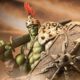 Planet Hulk Armour Revealed for Thor: Ragnarock